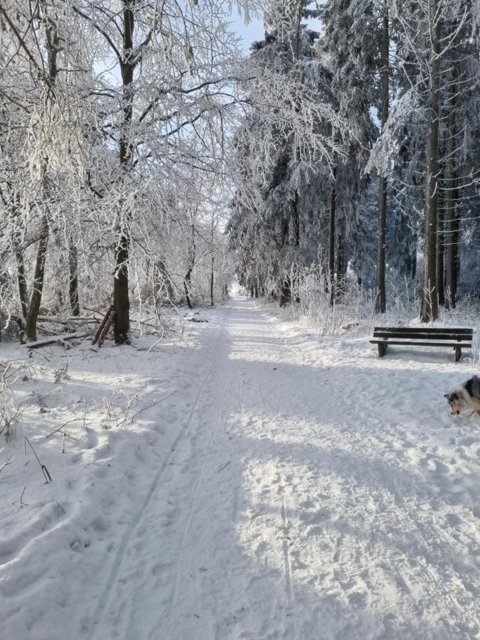 Ferienwohnung Schanzenblick Winterberg Eksteriør billede